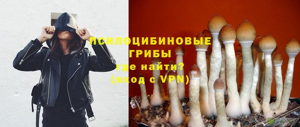 молекула духа Бронницы