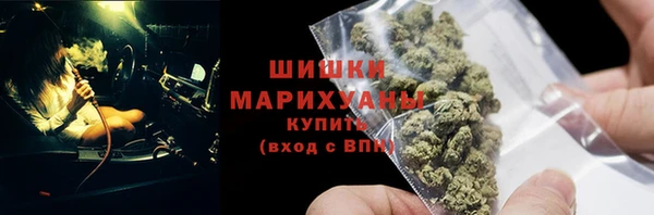 ПСИЛОЦИБИНОВЫЕ ГРИБЫ Белокуриха