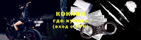 дмт Бородино