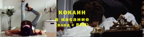ПСИЛОЦИБИНОВЫЕ ГРИБЫ Белокуриха