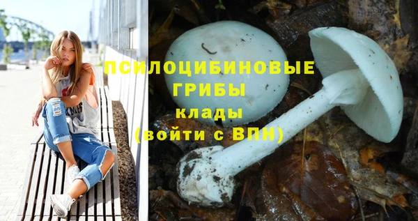 ПСИЛОЦИБИНОВЫЕ ГРИБЫ Сосновка