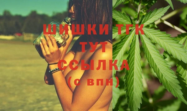 дмт Бородино