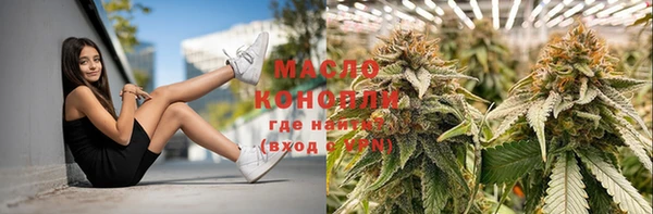 молекула духа Бронницы