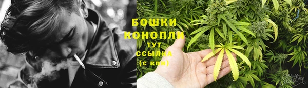 молекула духа Бронницы